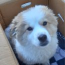 공단파출소 이미지