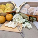 평택원예농업협동조합 이미지