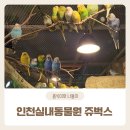 인천실내동물원 쥬벅스 실내 먹이주기체험, 주차, 가격정보 아이와함께 가볼만한 곳