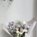 엔젤로니아플라워 이미지