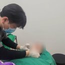 본연성형외과의원 이미지