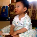 멍멍아 차에타자 이미지