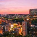 바람산공원 일요시사