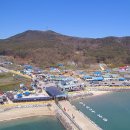 덕적도에서
