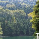 신선만나 이미지