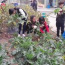 중원초등학교 이미지