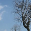 준기목장 이미지