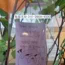 본가정분식 이미지