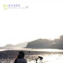 동막해수욕장 Daum카페