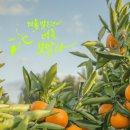 감성글씨, 캘리그라피 작품만들기 이미지