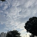 2026 성남문화예술제 in 탄천 후기 (with 비건)