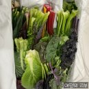 샐러드박스양주 이미지
