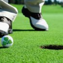 대지골프 이미지