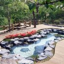 대운산 자연휴양림 캠핑장 이미지