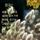 건강한오늘하루