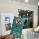 명문애견 이미지