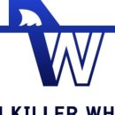 짐킬러웨일 이미지