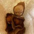 럭키486 | '럭키밀' 어플 솔직 후기 빵집리스트 TOP 3 | 빵순이를 위한 반값 빵 어플, 리퍼럴 코드