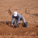 이도농장 이미지