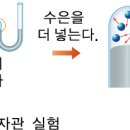 원자금성 이미지