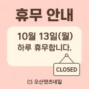 오산캣츠네일 네이버블로그