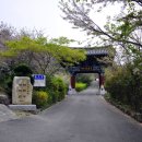 원량초연화분교 이미지