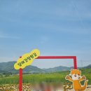 보리어린이집 이미지