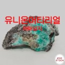대성유니온 이미지