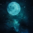 별헤는밤 - 증평군 절골길 12 | 별헤는밤