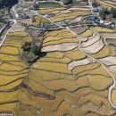 아라씨앗드리공동체영농조합법인 | 함안군, 경남도 다랑논 지역자원화 공모사업 선정