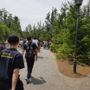 190529 오사카 여행 3일차 2/2 [유니버셜 스튜디오 재팬(USJ) - 콘래드 호텔 체크인]