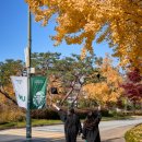 모먼트1479 | 건대 졸업 스냅🎓 | 마고픽 스튜디오 | 오이어 메이크업 | 춘추사