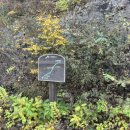 제일사슴농장 이미지