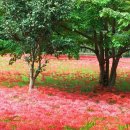 제85차 사찰순례 (고창선운사 도솔암 학원농장) 19일 삼목회 이미지