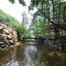 봉미산 계곡 예당 이미지