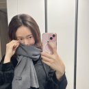 해브먼트 이미지