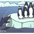 퍼스트펭귄