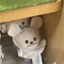 도브 향을 찾아서