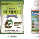신화엔텍