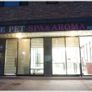 행복한 애견 미용 이미지