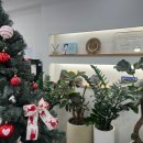 대성치과의원 이미지