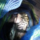 안면도 풀하우스 펜션 이미지