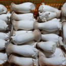 성무농장 이미지