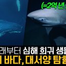 야생의 바다, 대서양 1~3부 몰아보기 #BBC 이미지