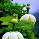 현명한 처세를 위한 덕목 이미지