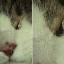 (주)미국여행 이미지