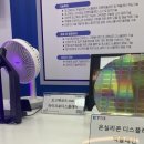 매서운 中 추격…'OLED 마이크로디스플레이'에 K-디스플레이 생존해법 이미지