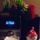 소마메디 이미지