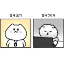 모모의일상