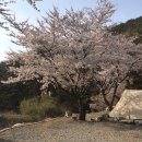 문수골 힐링캠핑장 이미지